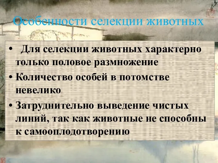 Для селекции животных характерно только половое размножение Количество особей в потомстве