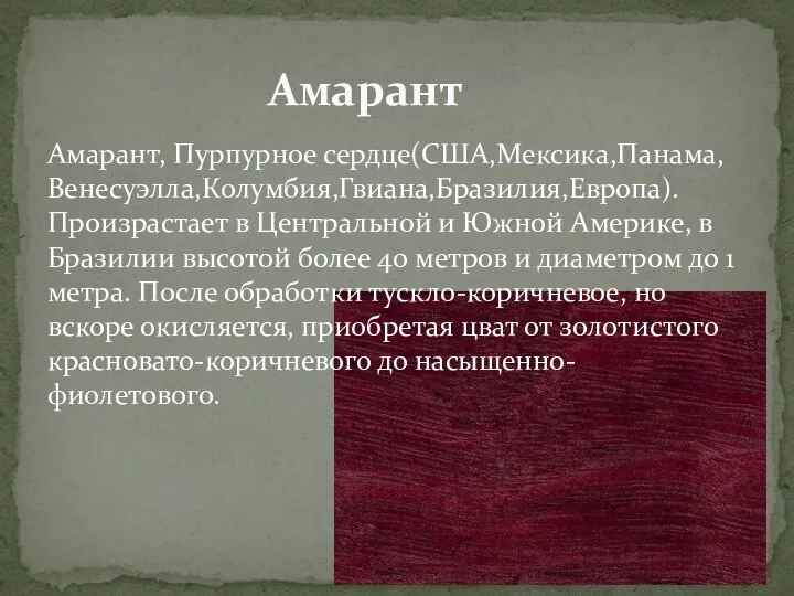 Амарант, Пурпурное сердце(США,Мексика,Панама, Венесуэлла,Колумбия,Гвиана,Бразилия,Европа). Произрастает в Центральной и Южной Америке, в