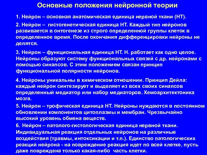 Основные положения нейронной теории 1. Нейрон – основная анатомическая единица нервной