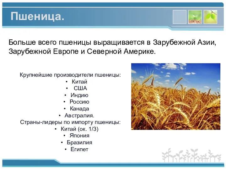 Больше всего пшеницы выращивается в Зарубежной Азии, Зарубежной Европе и Северной