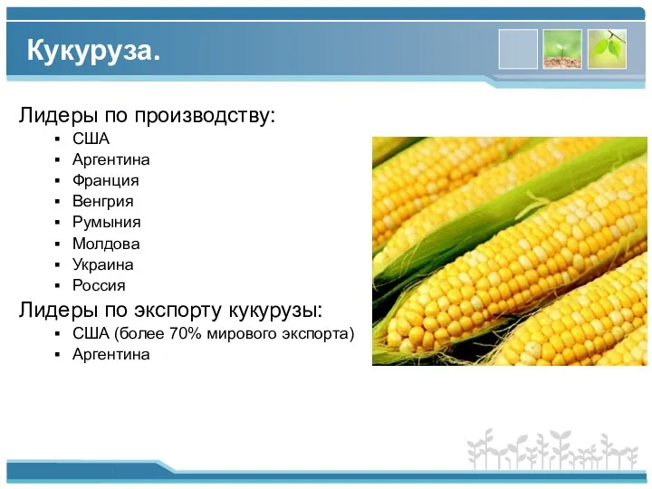 Лидеры по производству: США Аргентина Франция Венгрия Румыния Молдова Украина Россия