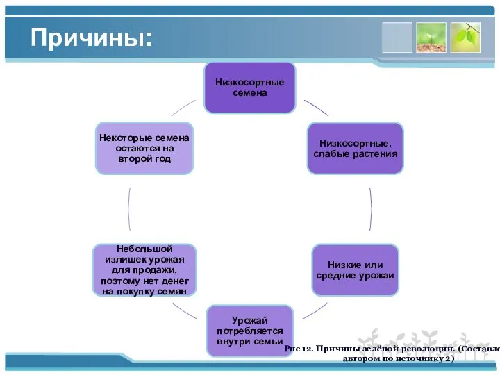 Причины: Рис 12. Причины зелёной революции. (Составлено автором по источнику 2)