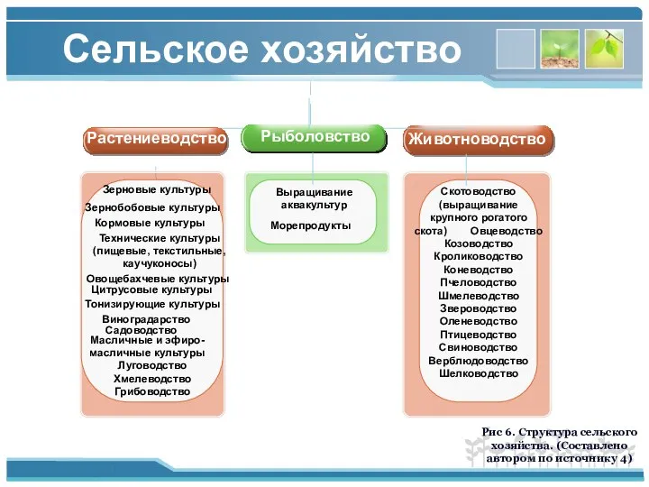 Сельское хозяйство во Растениеводство Животноводство Скотоводство (выращивание крупного рогатого скота) Овцеводство