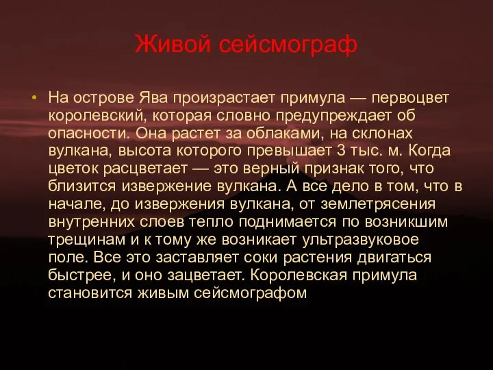 Живой сейсмограф На острове Ява произрастает примула — первоцвет королевский, которая