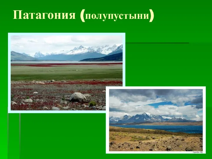 Патагония (полупустыни)