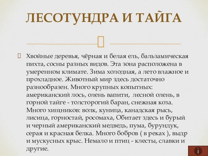 Хвойные деревья, чёрная и белая ель, бальзамическая пихта, сосны разных видов.