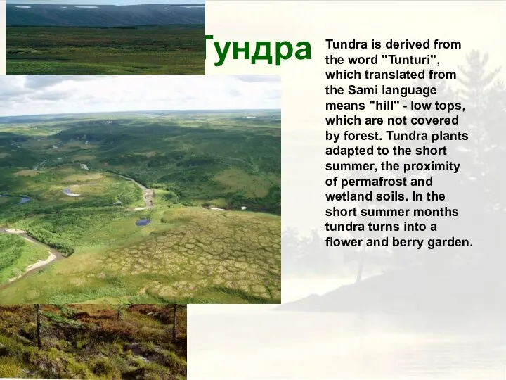 Тундра Tundra is derived from the word "Tunturi", which translated from