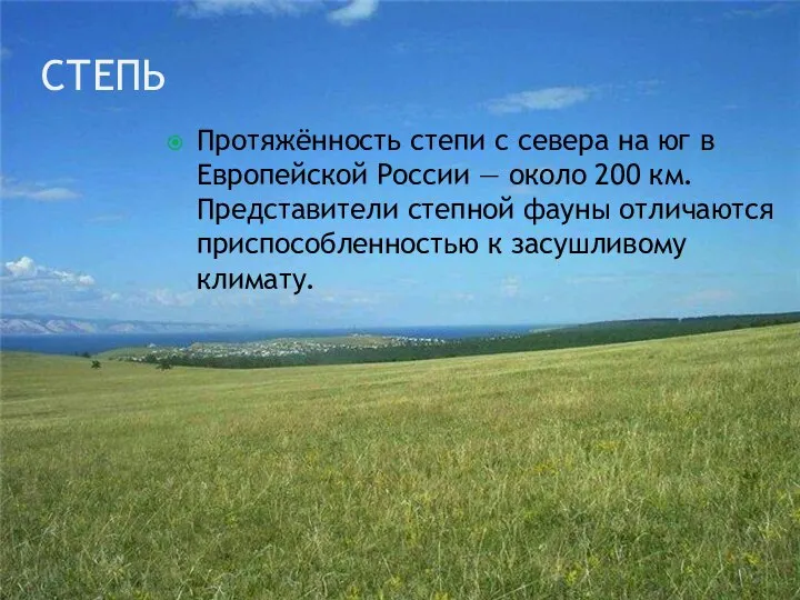 Степь Протяжённость степи с севера на юг в Европейской России —