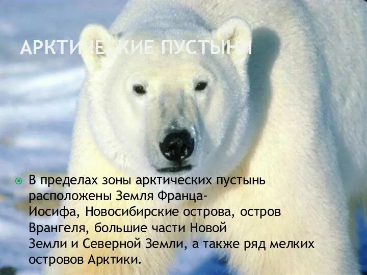 Арктические пустыни В пределах зоны арктических пустынь расположены Земля Франца-Иосифа, Новосибирские