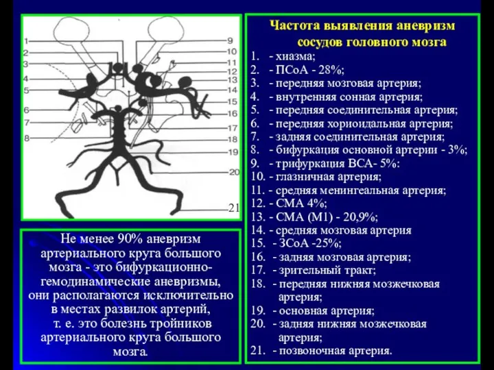 Частота выявления аневризм сосудов головного мозга 1. - хиазма; 2. -