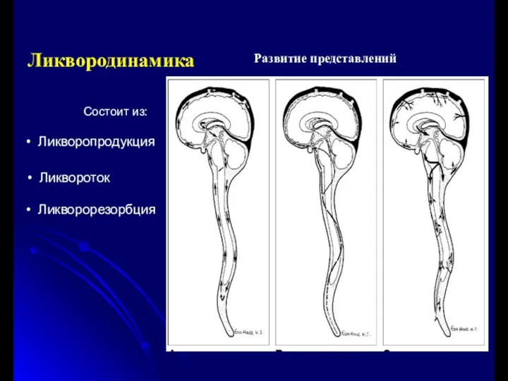 Ликвородинамика Ликворопродукция Ликвороток Ликворорезорбция Развитие представлений Состоит из: