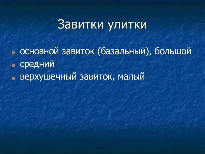 Завитки улитки основной завиток (базальный), большой средний верхушечный завиток, малый