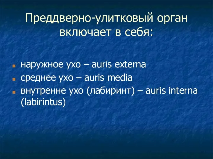 Преддверно-улитковый орган включает в себя: наружное ухо – auris externa среднее