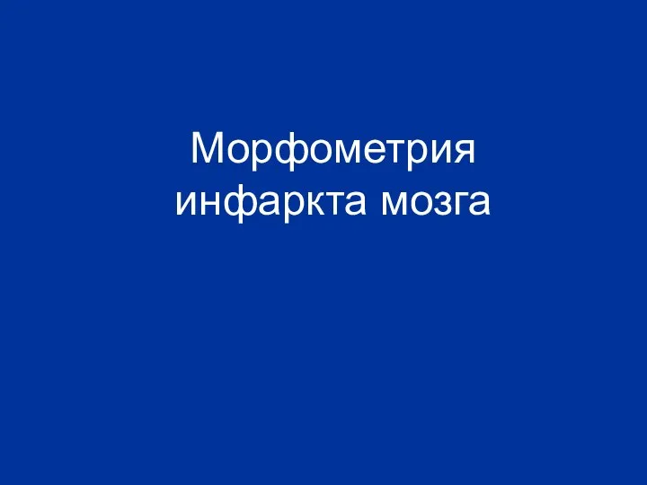 Морфометрия инфаркта мозга