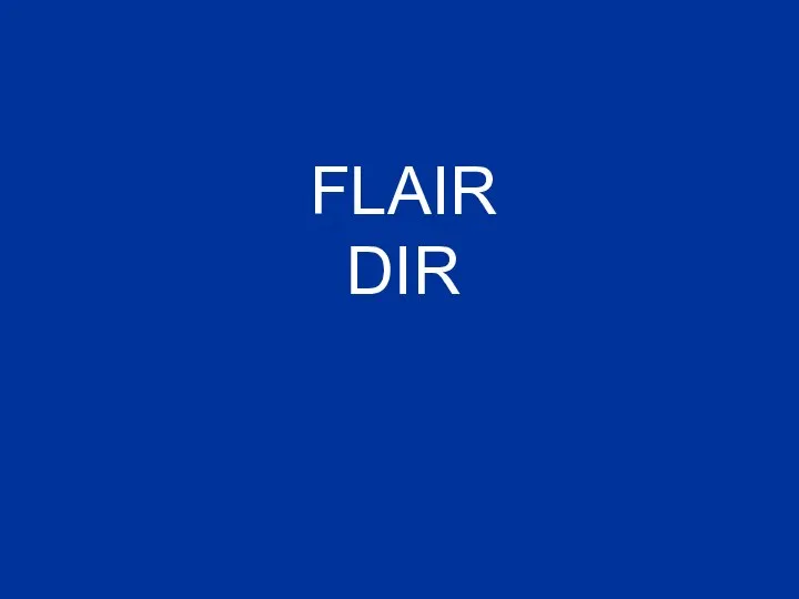 FLAIR DIR