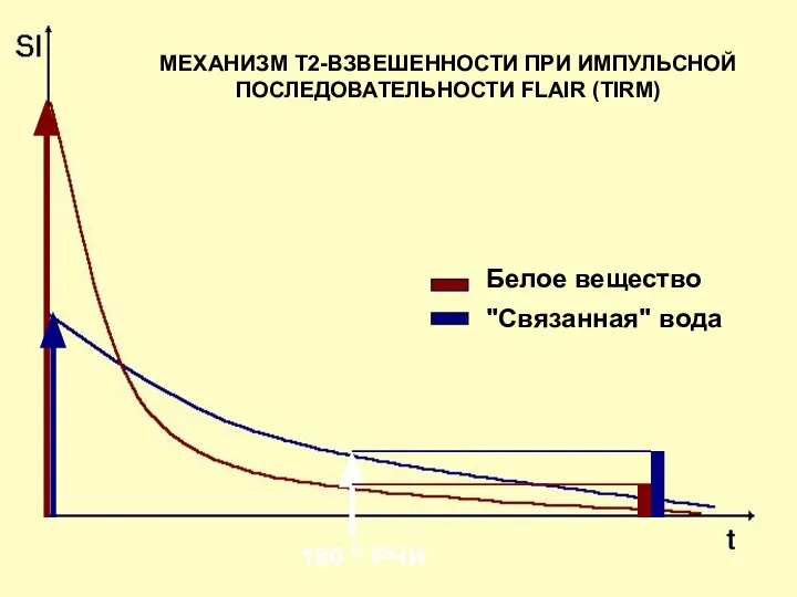 МЕХАНИЗМ Т2-ВЗВЕШЕННОСТИ ПРИ ИМПУЛЬСНОЙ ПОСЛЕДОВАТЕЛЬНОСТИ FLAIR (TIRM) 180 0 РЧИ Белое вещество "Связанная" вода