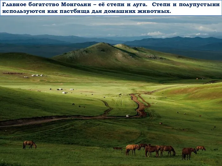 Главное богатство Монголии – её степи и луга. Степи и полупустыни