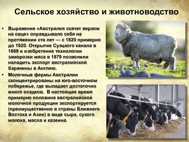 Сельское хозяйство и животноводство Выражение «Австралия скачет верхом на овце» оправдывало