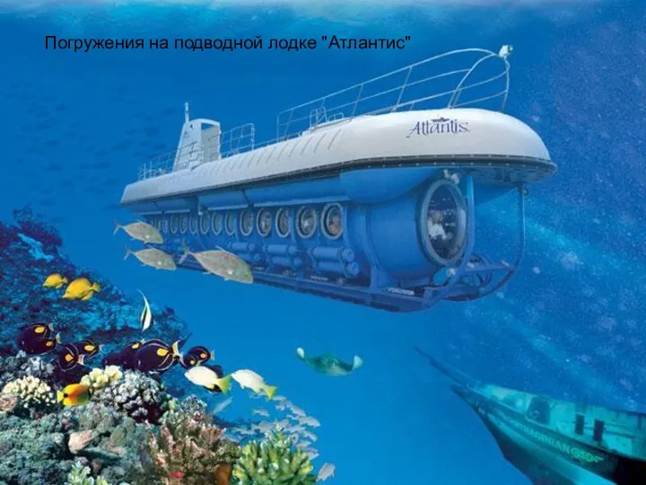 Погружения на подводной лодке "Атлантис"