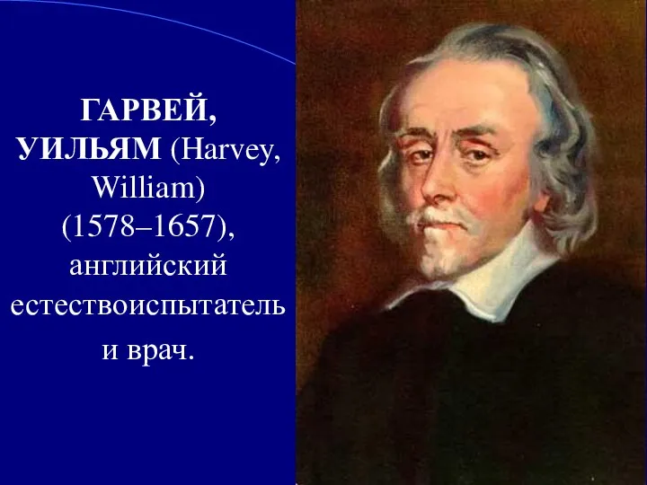 ГАРВЕЙ, УИЛЬЯМ (Harvey, William) (1578–1657), английский естествоиспытатель и врач.