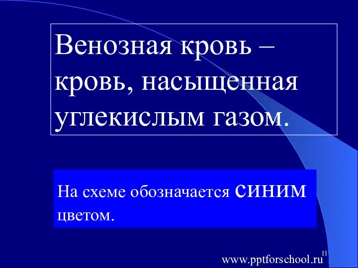 Венозная кровь – кровь, насыщенная углекислым газом. На схеме обозначается синим цветом. www.pptforschool.ru