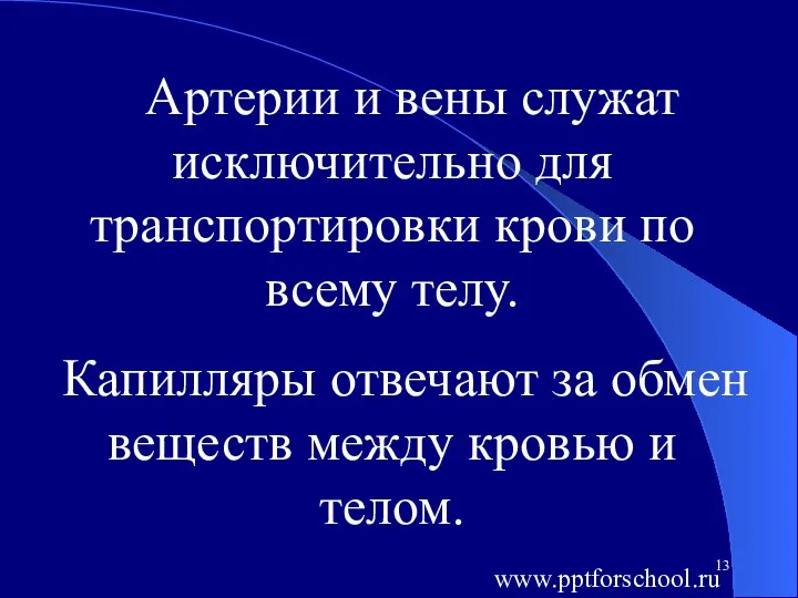 Артерии и вены служат исключительно для транспортировки крови по всему телу.