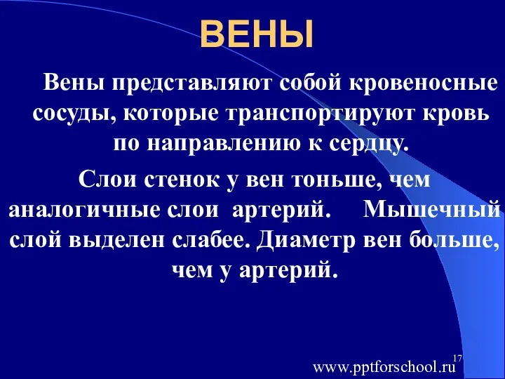 ВЕНЫ Вены представляют собой кровеносные сосуды, которые транспортируют кровь по направлению