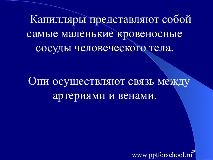 Капилляры представляют собой самые маленькие кровеносные сосуды человеческого тела. Они осуществляют