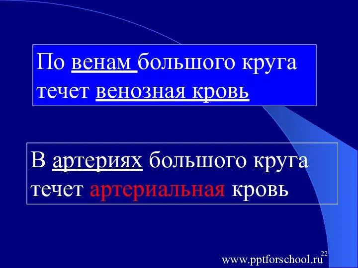 В артериях большого круга течет артериальная кровь По венам большого круга течет венозная кровь www.pptforschool.ru