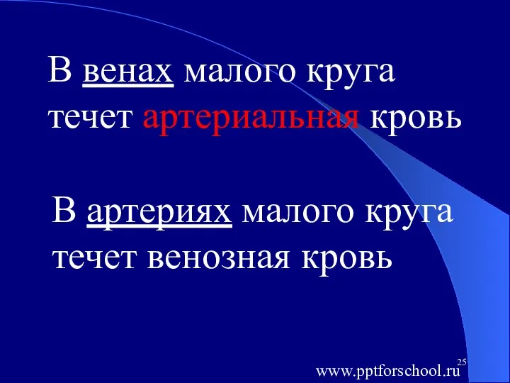 В артериях малого круга течет венозная кровь В венах малого круга течет артериальная кровь www.pptforschool.ru