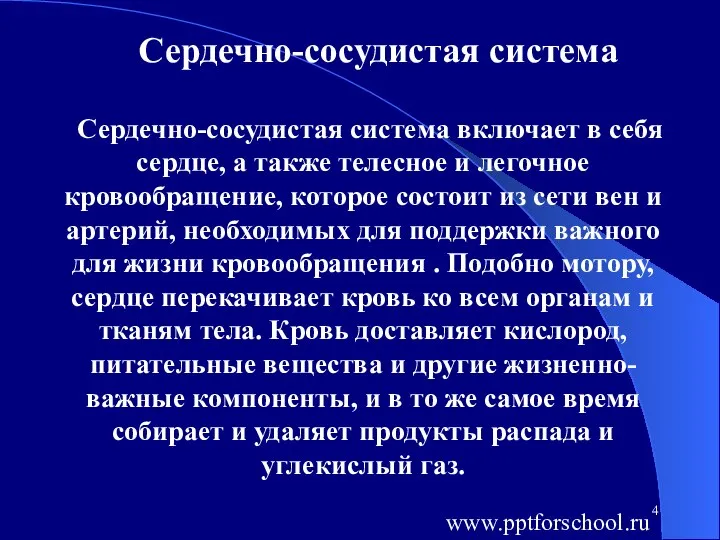 Сердечно-сосудистая система Сердечно-сосудистая система включает в себя сердце, а также телесное