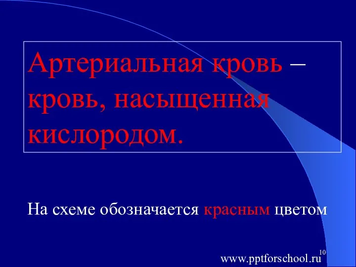 Артериальная кровь – кровь, насыщенная кислородом. На схеме обозначается красным цветом www.pptforschool.ru