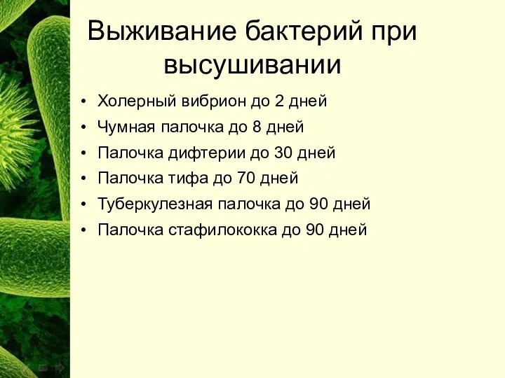 Выживание бактерий при высушивании Холерный вибрион до 2 дней Чумная палочка