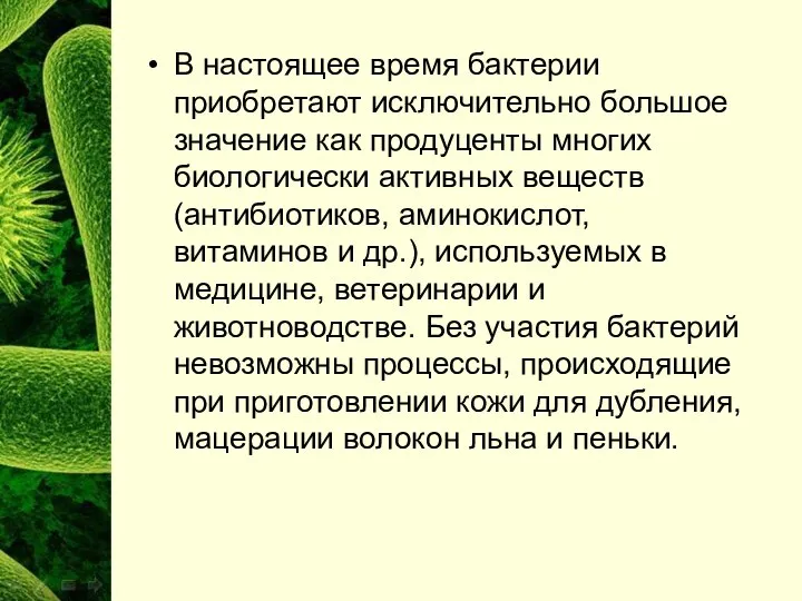 В настоящее время бактерии приобретают исключительно большое значение как продуценты многих