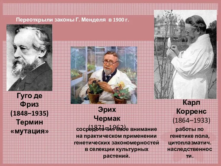 Гуго де Фриз (1848–1935) Термин «мутация» сосредоточил свое внимание на практическом