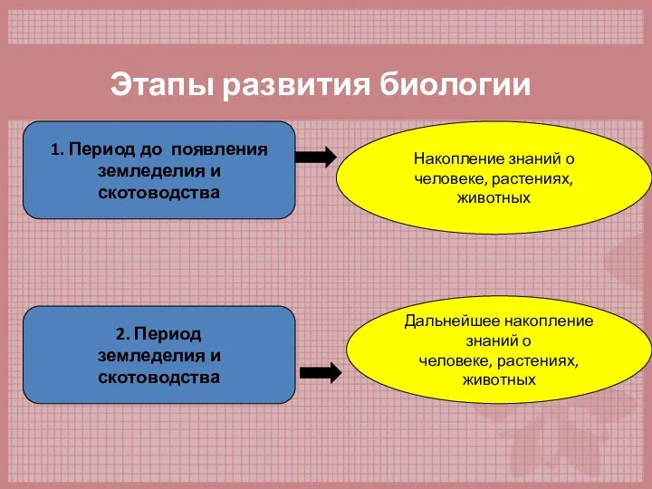 Этапы развития биологии 1. Период до появления земледелия и скотоводства Накопление