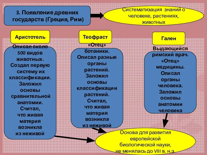 3. Появление древних государств (Греция, Рим) Систематизация знаний о человеке, растениях,