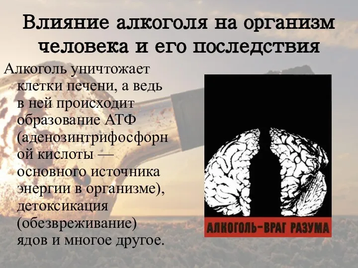 Влияние алкоголя на организм человека и его последствия Алкоголь уничтожает клетки