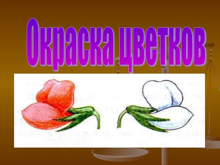 Окраска цветков