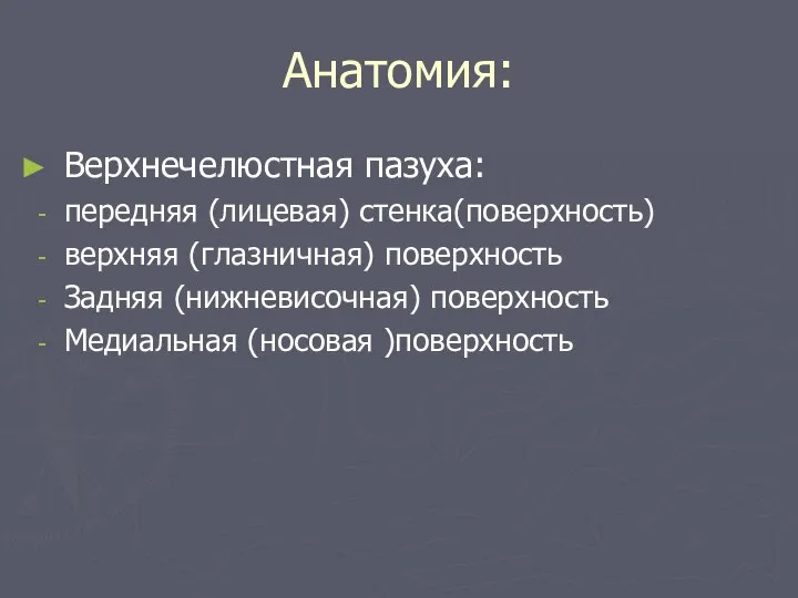 Анатомия: Верхнечелюстная пазуха: передняя (лицевая) стенка(поверхность) верхняя (глазничная) поверхность Задняя (нижневисочная) поверхность Медиальная (носовая )поверхность