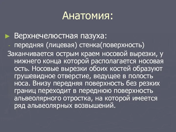 Анатомия: Верхнечелюстная пазуха: передняя (лицевая) стенка(поверхность) Заканчивается острым краем носовой вырезки,