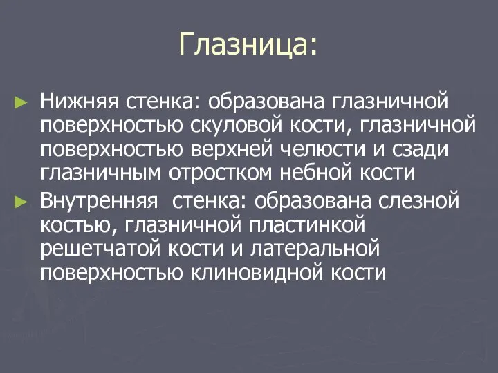 Глазница: Нижняя стенка: образована глазничной поверхностью скуловой кости, глазничной поверхностью верхней