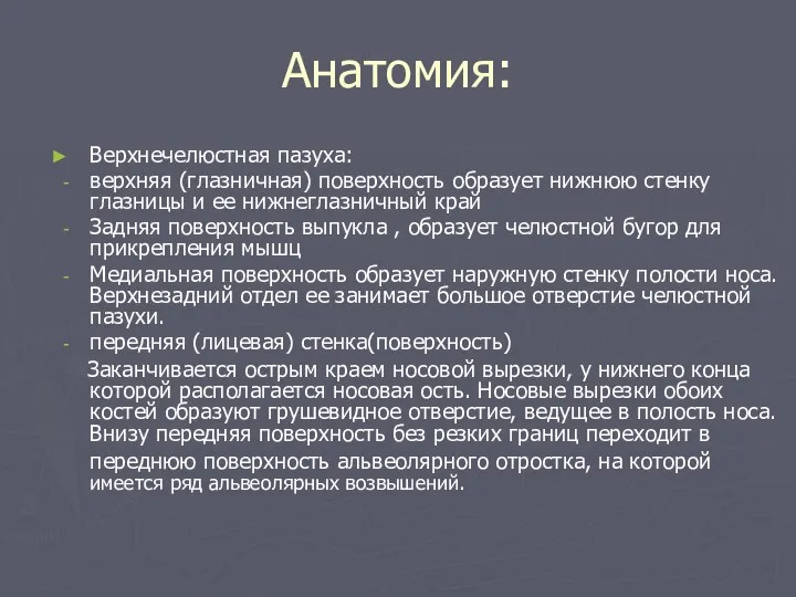 Анатомия: Верхнечелюстная пазуха: верхняя (глазничная) поверхность образует нижнюю стенку глазницы и