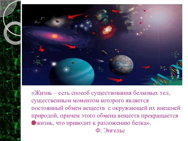 «Жизнь – есть способ существования белковых тел, существенным моментом которого является