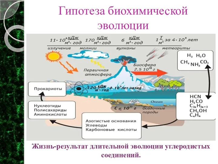 Гипотеза биохимической эволюции Жизнь-результат длительной эволюции углеродистых соединений.