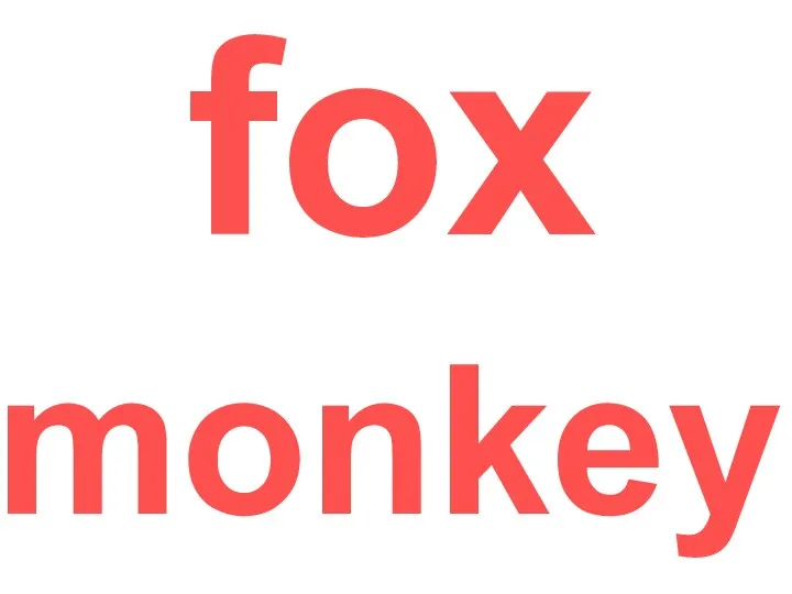 fox monkey