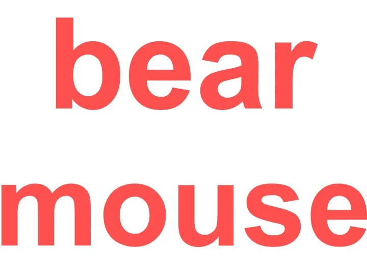 bear mouse