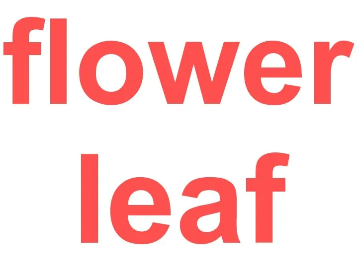 flower leaf