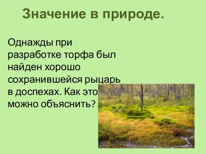 Однажды при разработке торфа был найден хорошо сохранившейся рыцарь в доспехах.