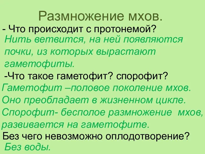 Без чего невозможно оплодотворение? Размножение мхов. - Что происходит с протонемой?